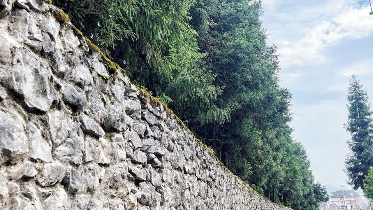 Photo of Outdoor in Wulong