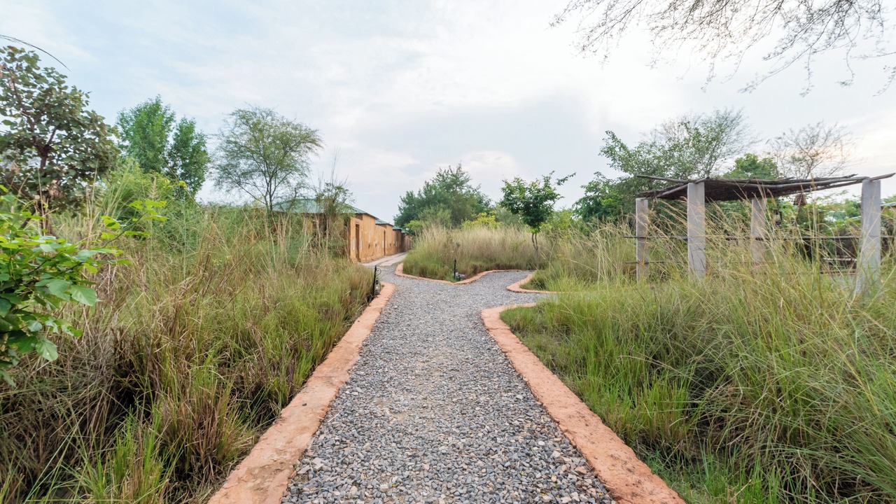Photo of Outdoor in Sawai Madhopur
