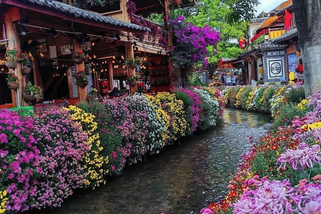 Photo of Others in Gucheng