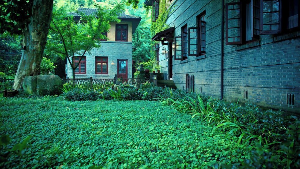 Photo of Outdoor in Moganshan