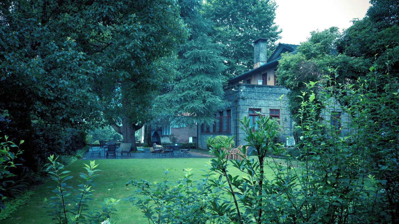 Photo of Outdoor in Moganshan