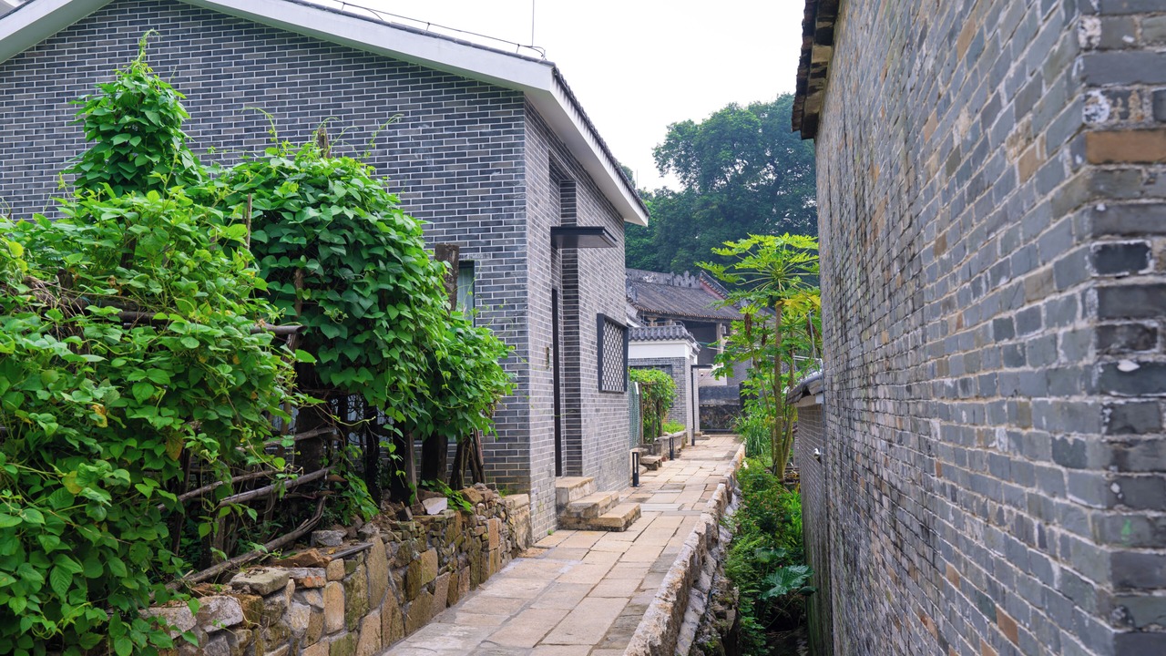 Photo of Others in Nanhai