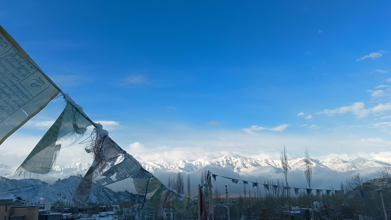 Photo of Others in Leh