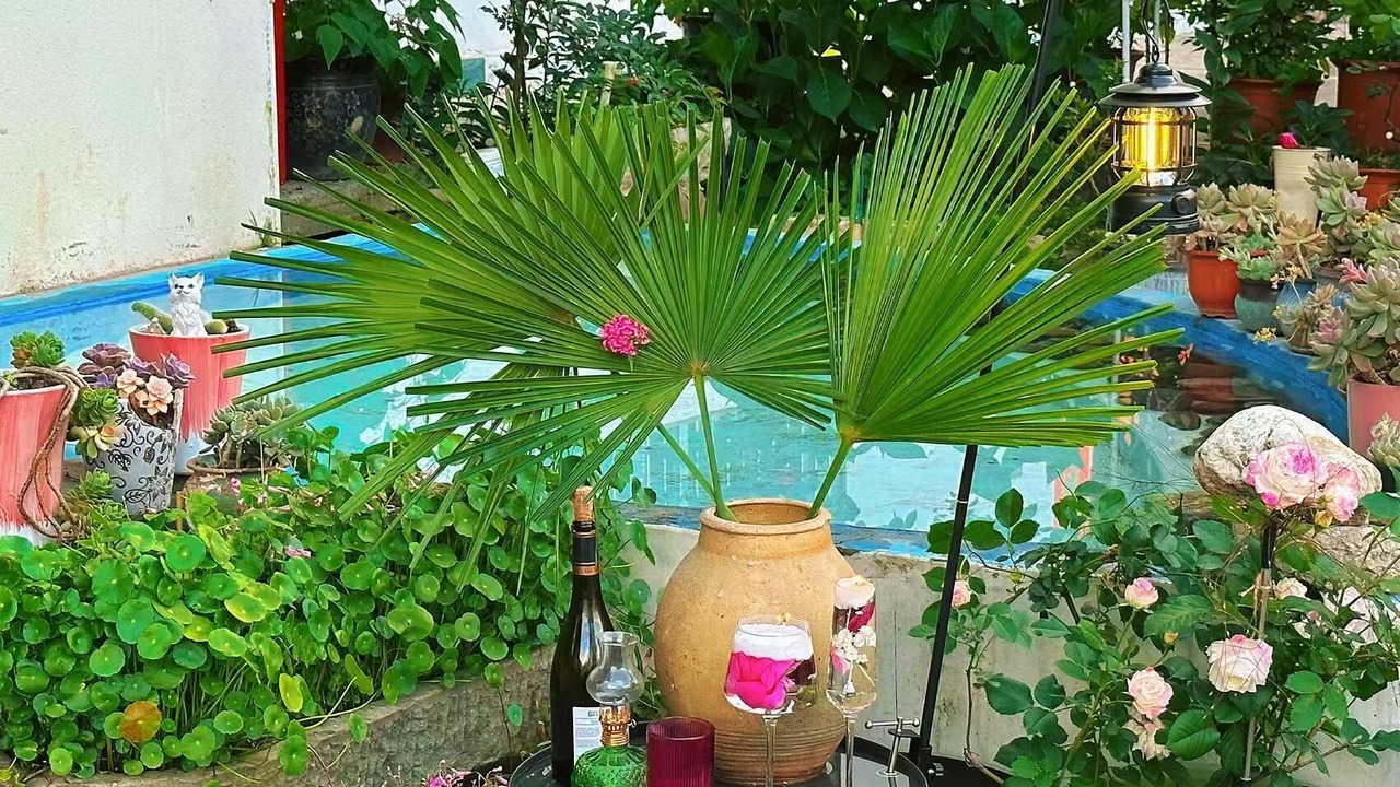 Photo of Outdoor in Chaqiyu