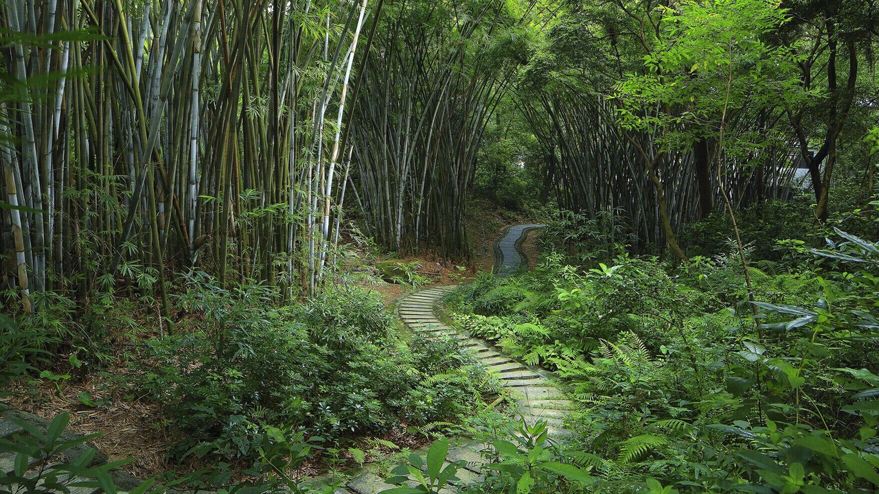 Photo of Outdoor in Baiyun