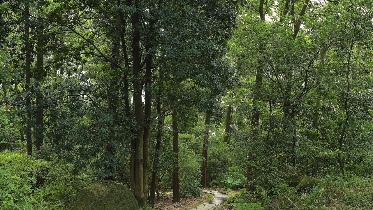Photo of Outdoor in Baiyun