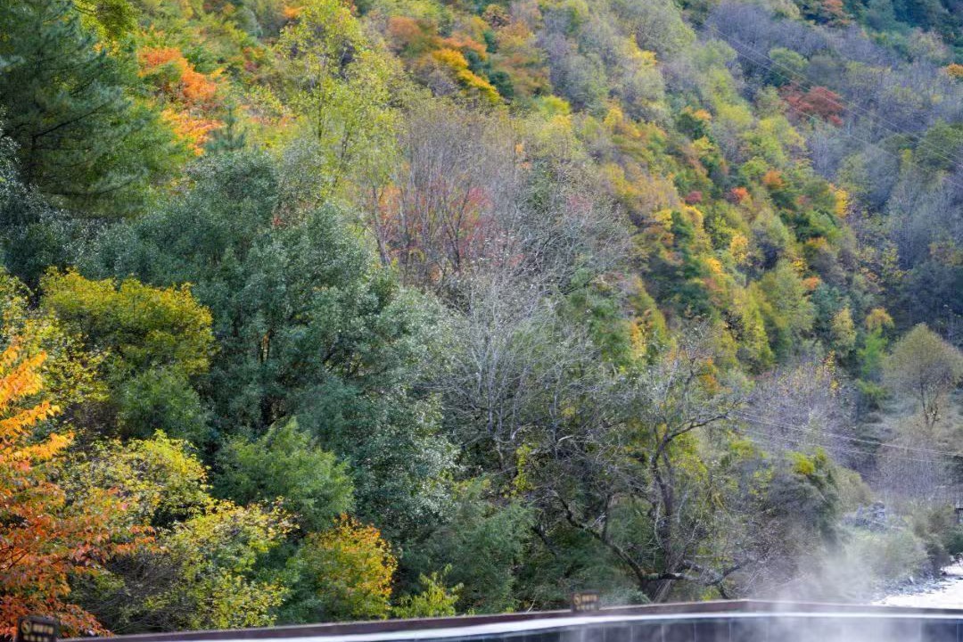 Photo of Outdoor in Wenchuan