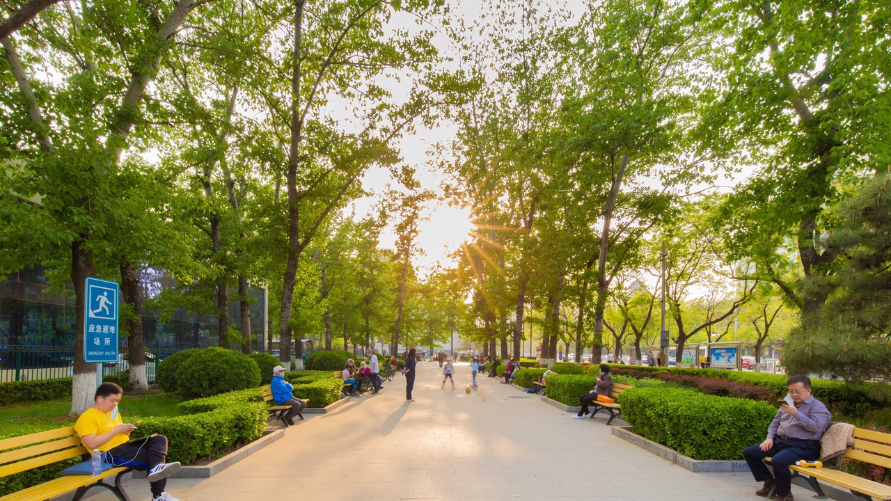 Photo of Outdoor in Downtown Beijing