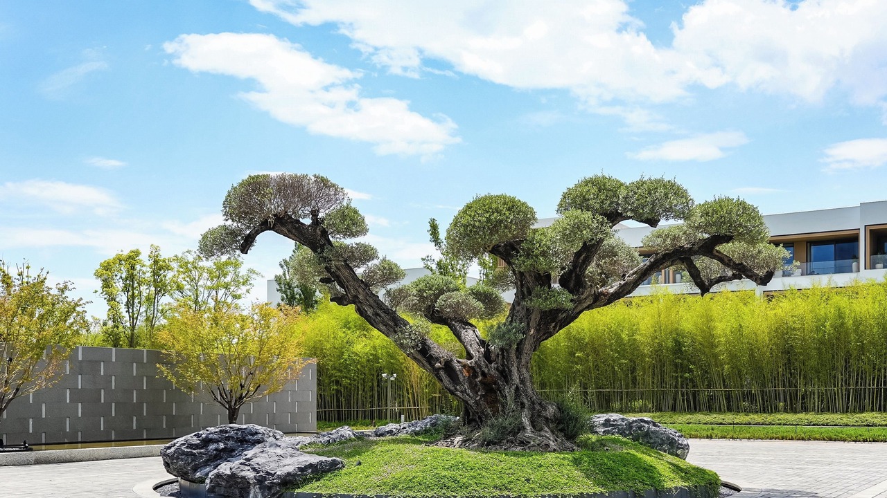 Photo of Outdoor in Dali Town