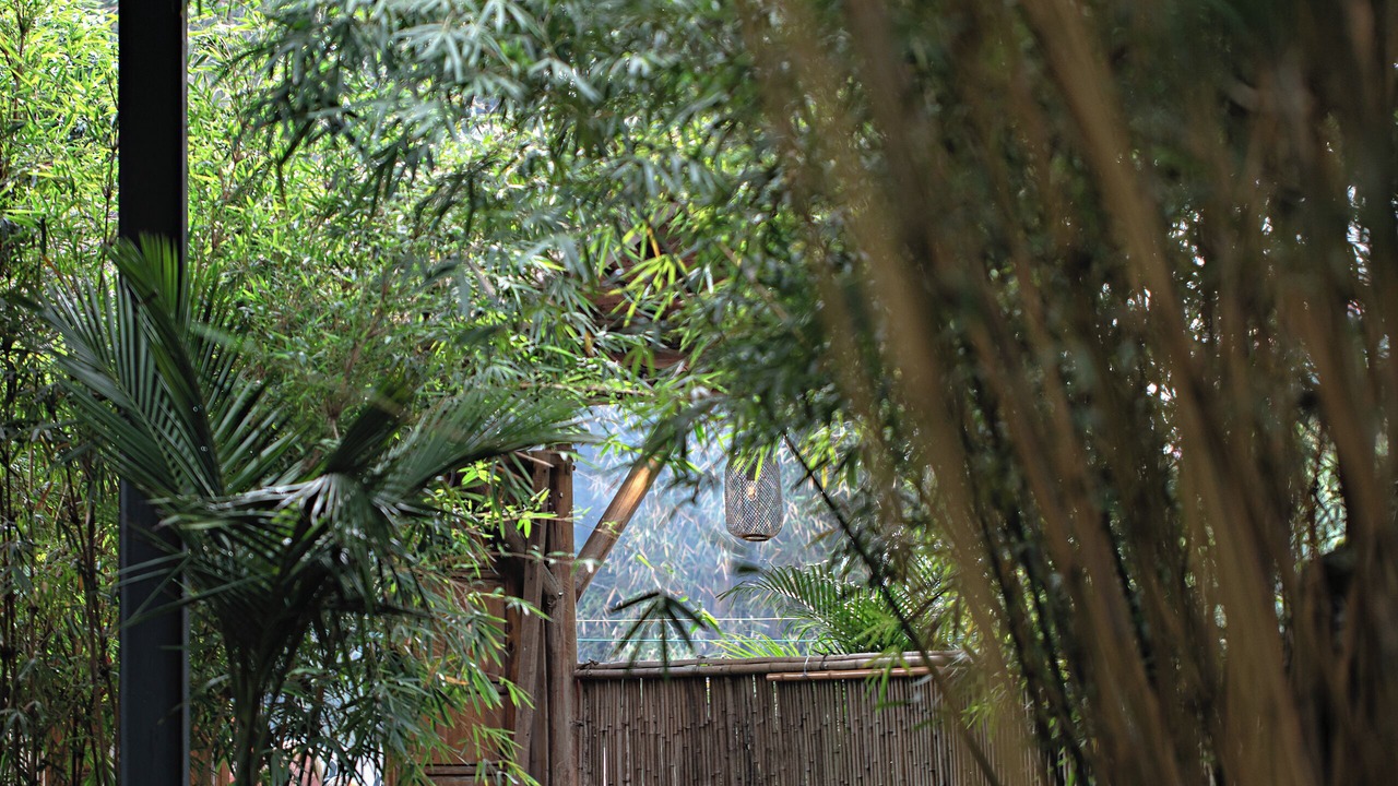 Photo of Outdoor in Ten Mile Gallery