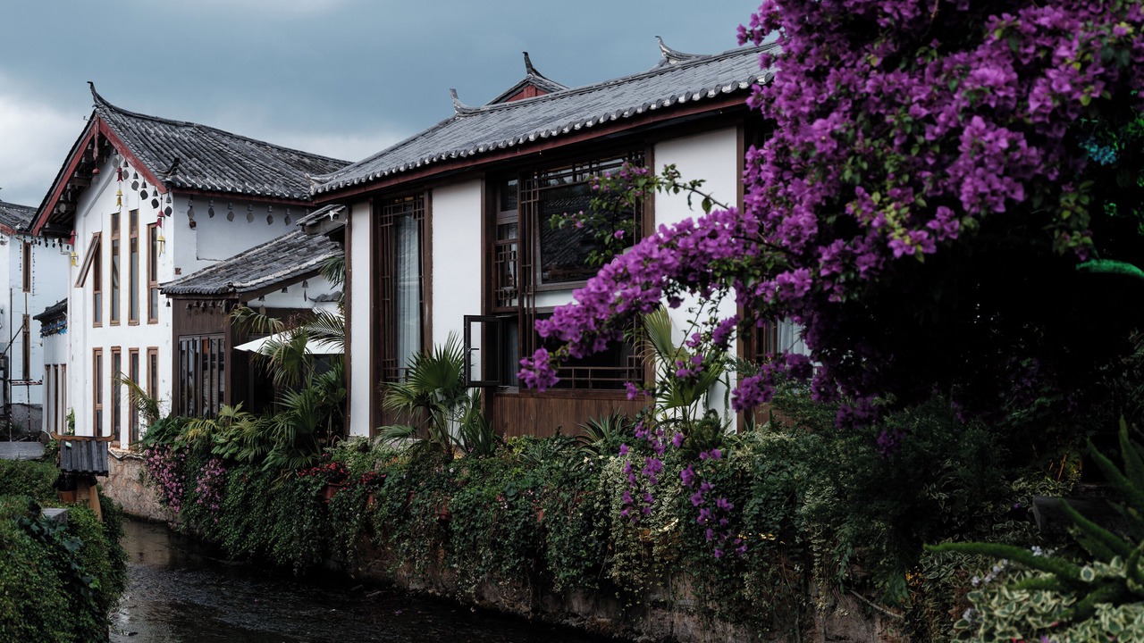 Photo of Outdoor in Dayan Old Town