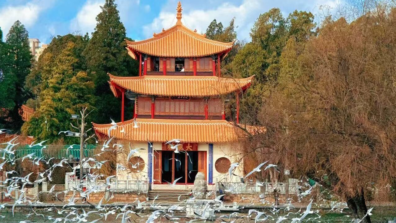 Photo of Others in Xishan