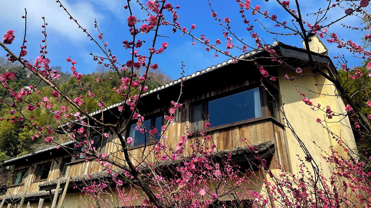 Photo of Bedroom in Moganshan