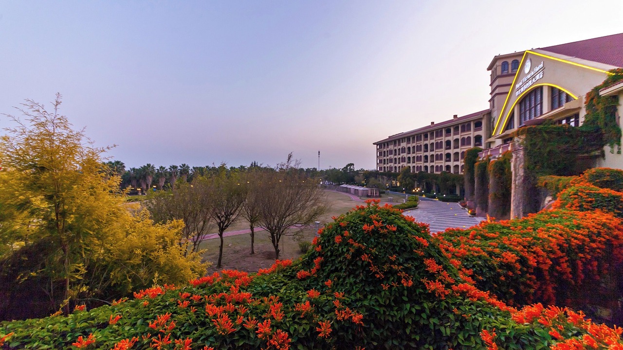 Photo of Outdoor in Siming