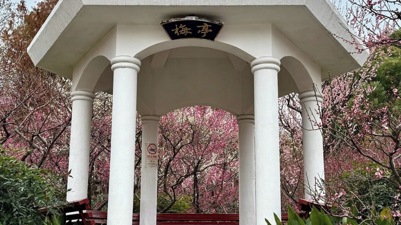 Photo of Others in Putuo