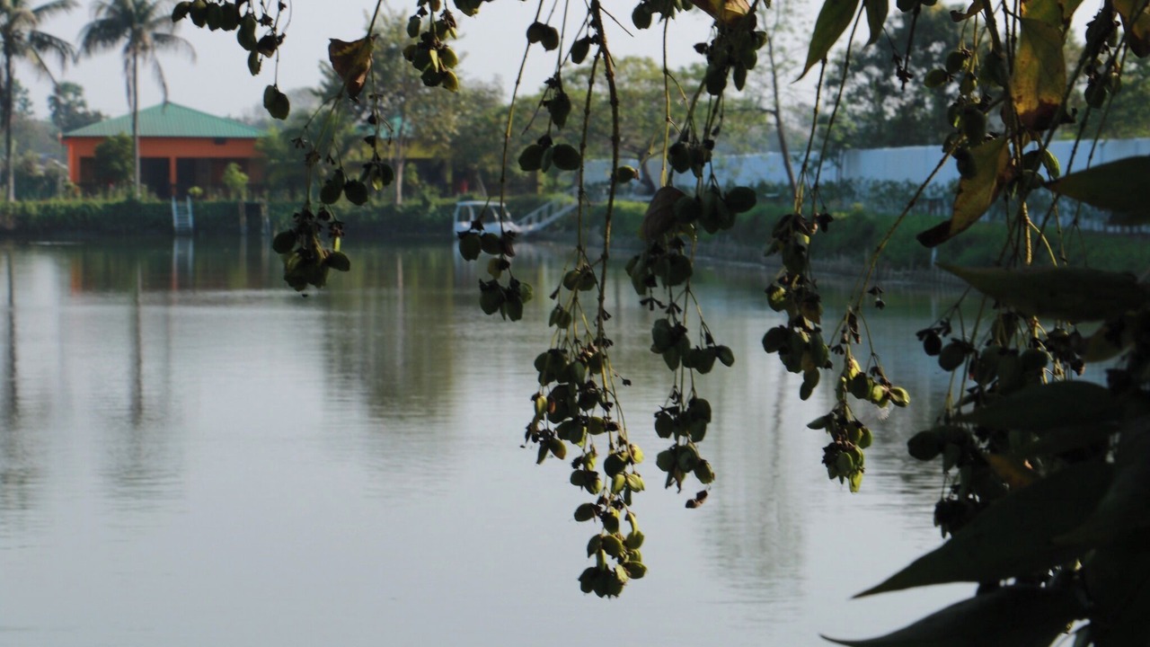 Photo of Outdoor in Pabna