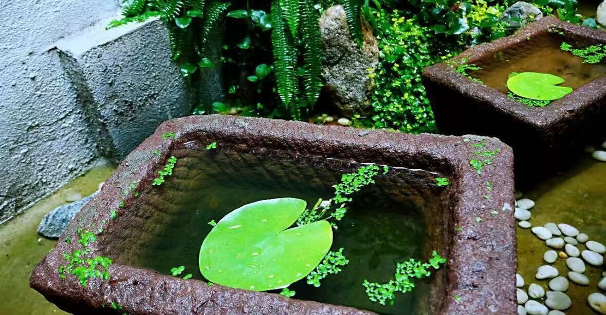 Photo of Outdoor in Beilin