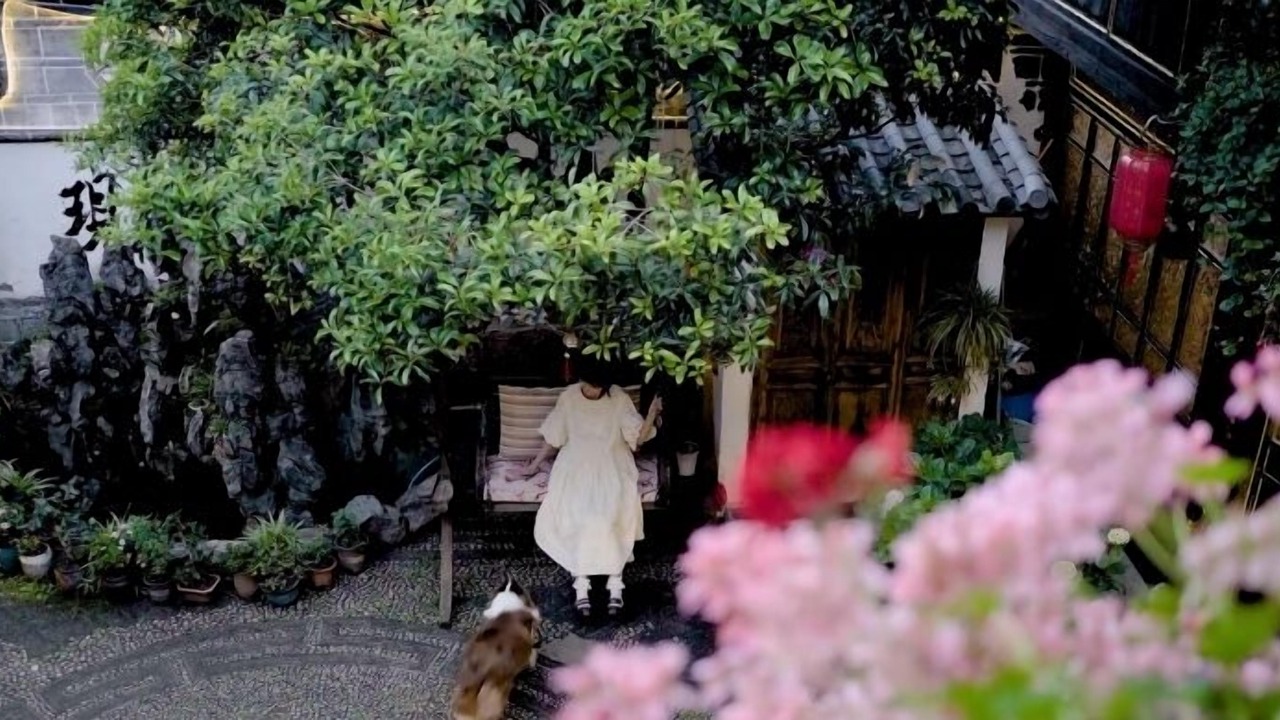 Photo of Outdoor in Dayan Old Town