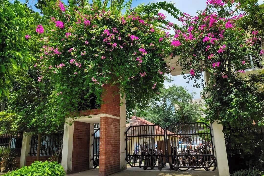 Photo of Outdoor in Chittagong Division