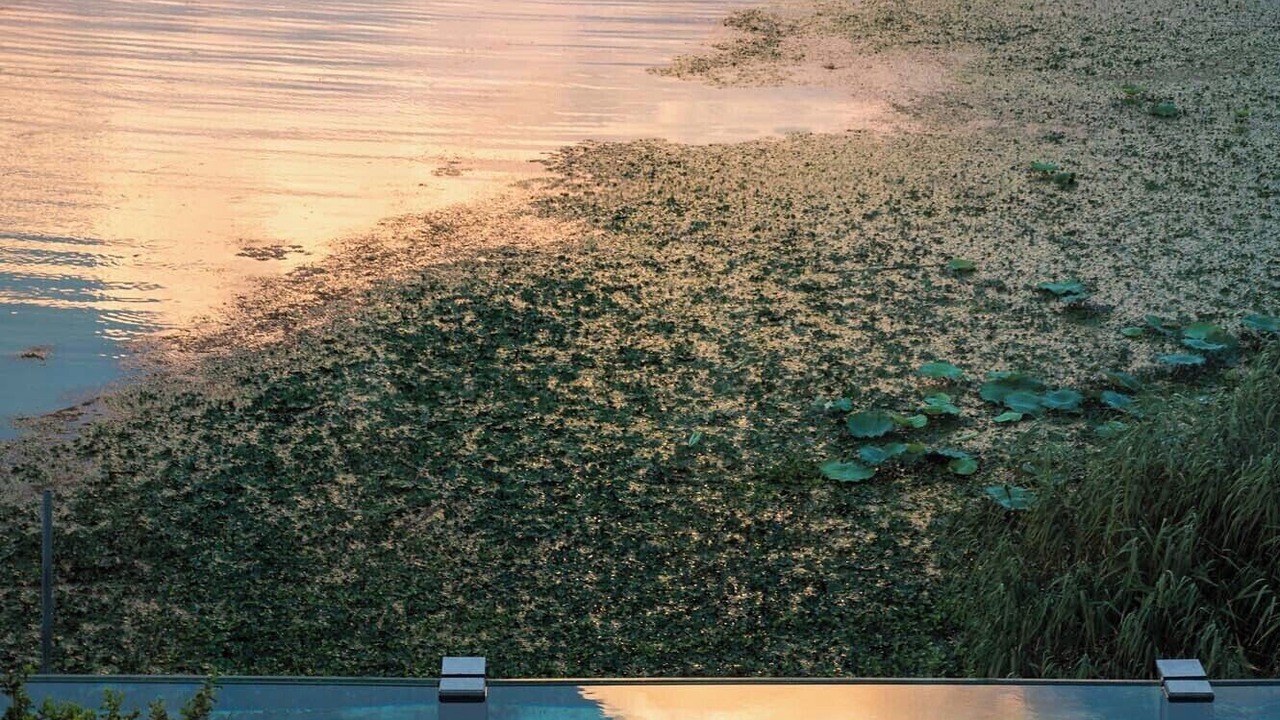 Photo of Outdoor in Wuzhong