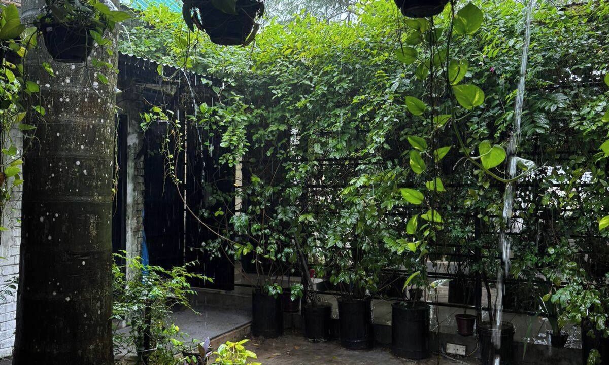 Photo of Outdoor in Dhaka Division