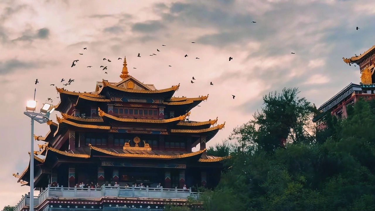 Photo of Others in Shangri-La