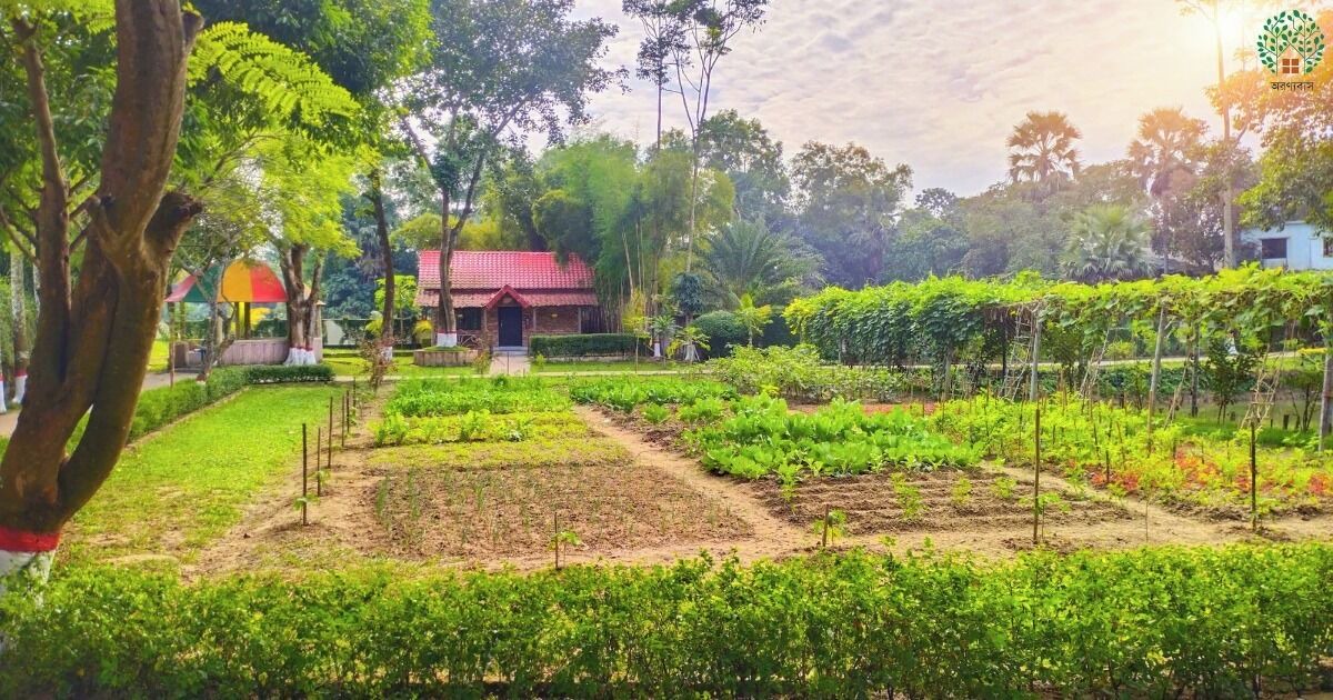 Photo of Outdoor in Gazipur District