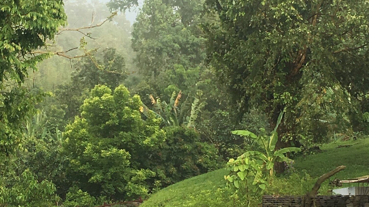 Photo of Outdoor in Bandarban