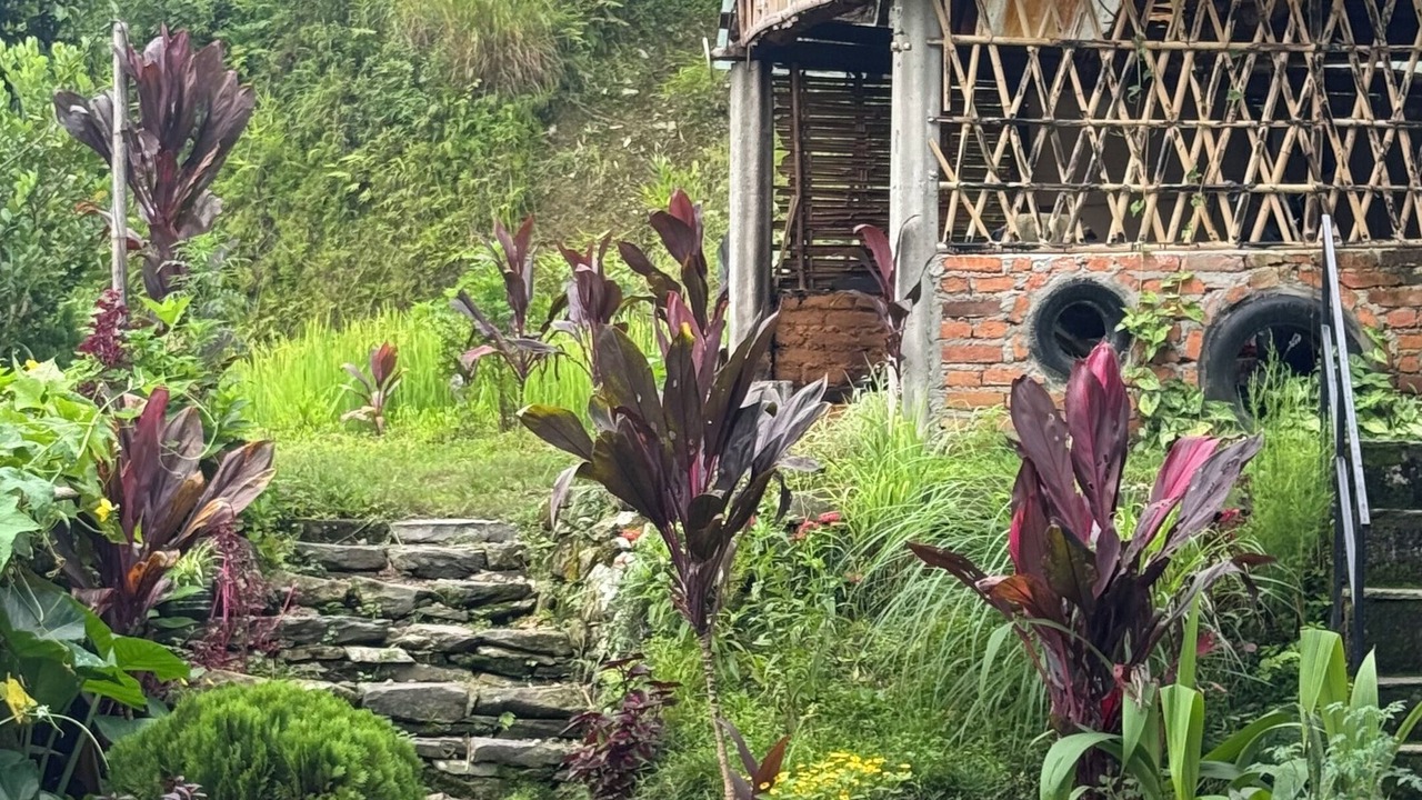 Photo of Outdoor in Pokhara