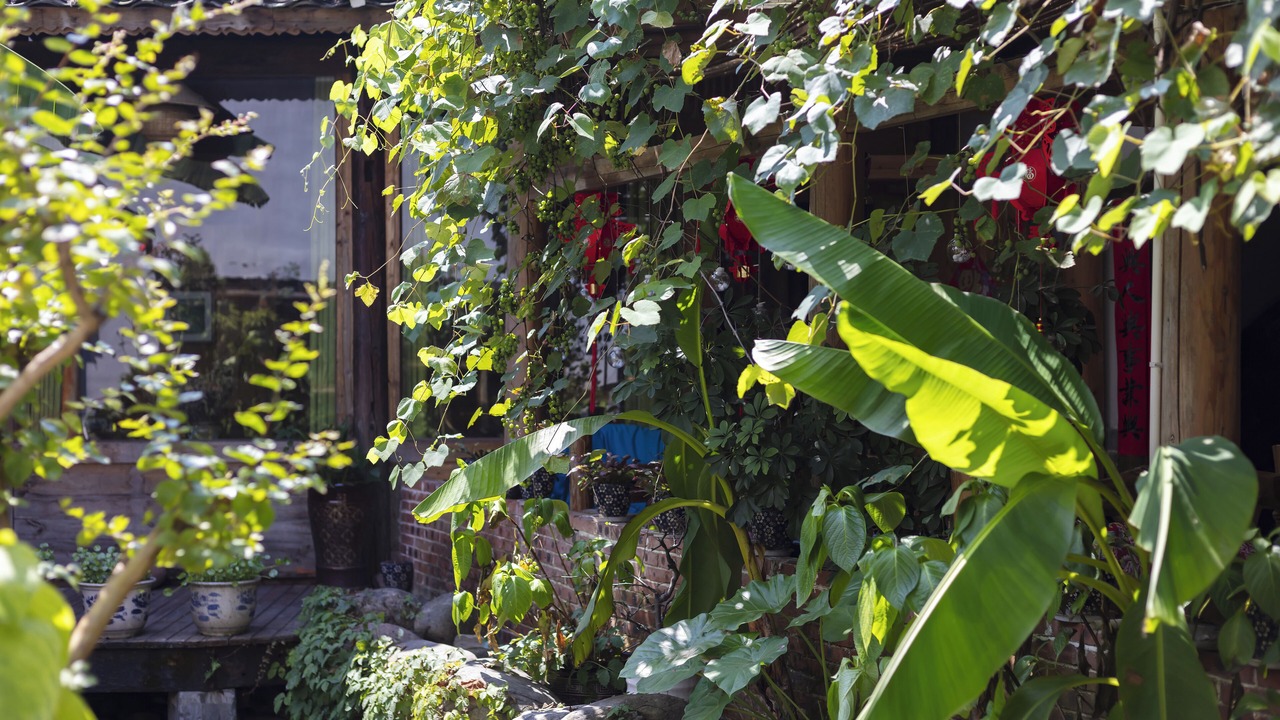 Photo of Outdoor in Yongding