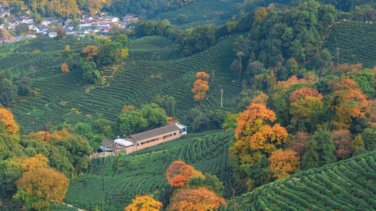 Photo of Others in Xihu