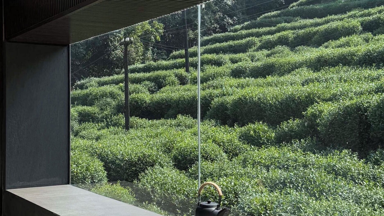 Photo of Outdoor in Xihu