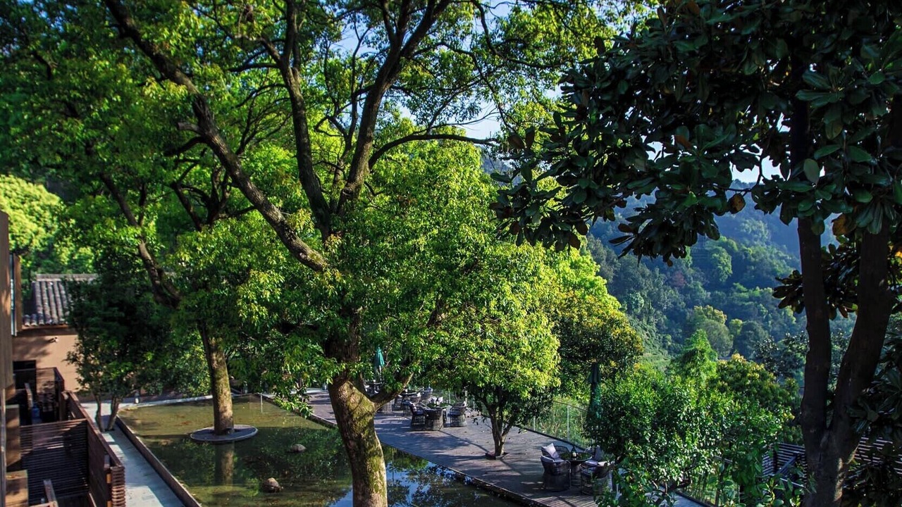 Photo of Others in Xihu