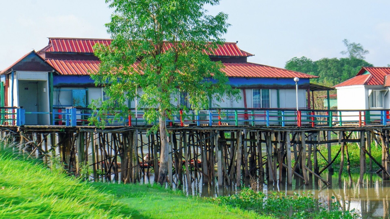 Photo of Outdoor in Pirozali