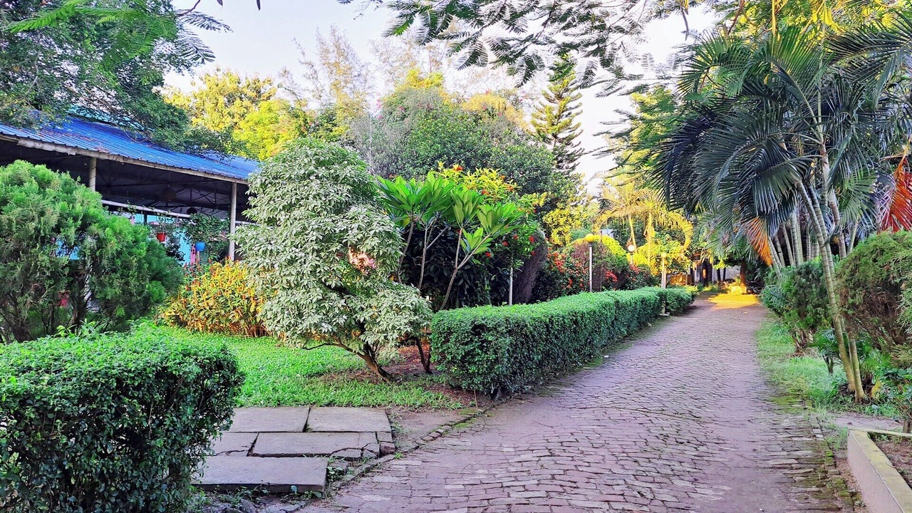 Photo of Outdoor in Pirozali