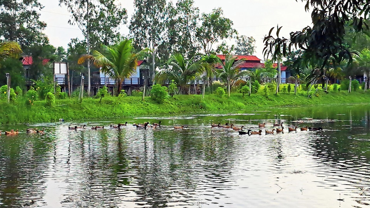 Photo of Outdoor in Pirozali