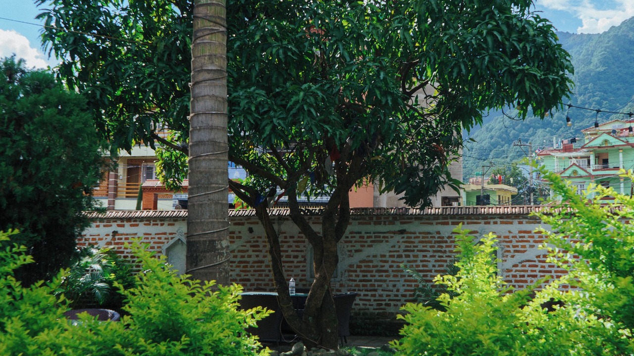 Photo of Outdoor in Kathmandu