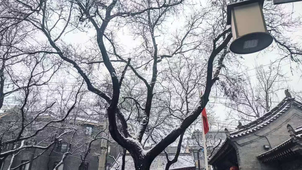 Photo of Others in Xi’an City Center