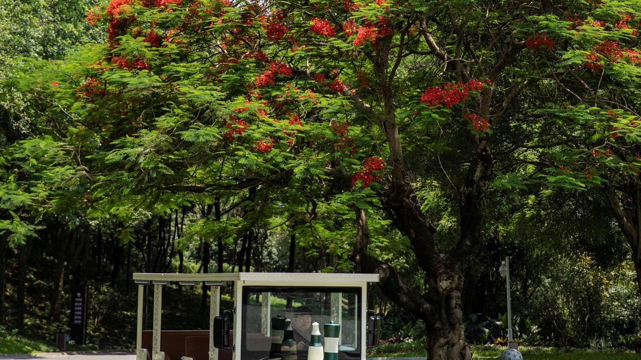 Photo of Outdoor in Dongguan City Center