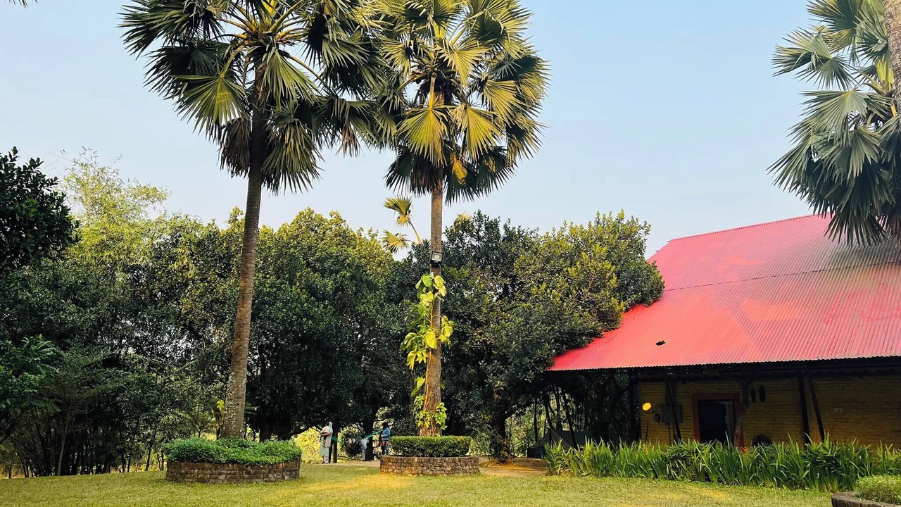 Photo of Outdoor in Dhaka Division