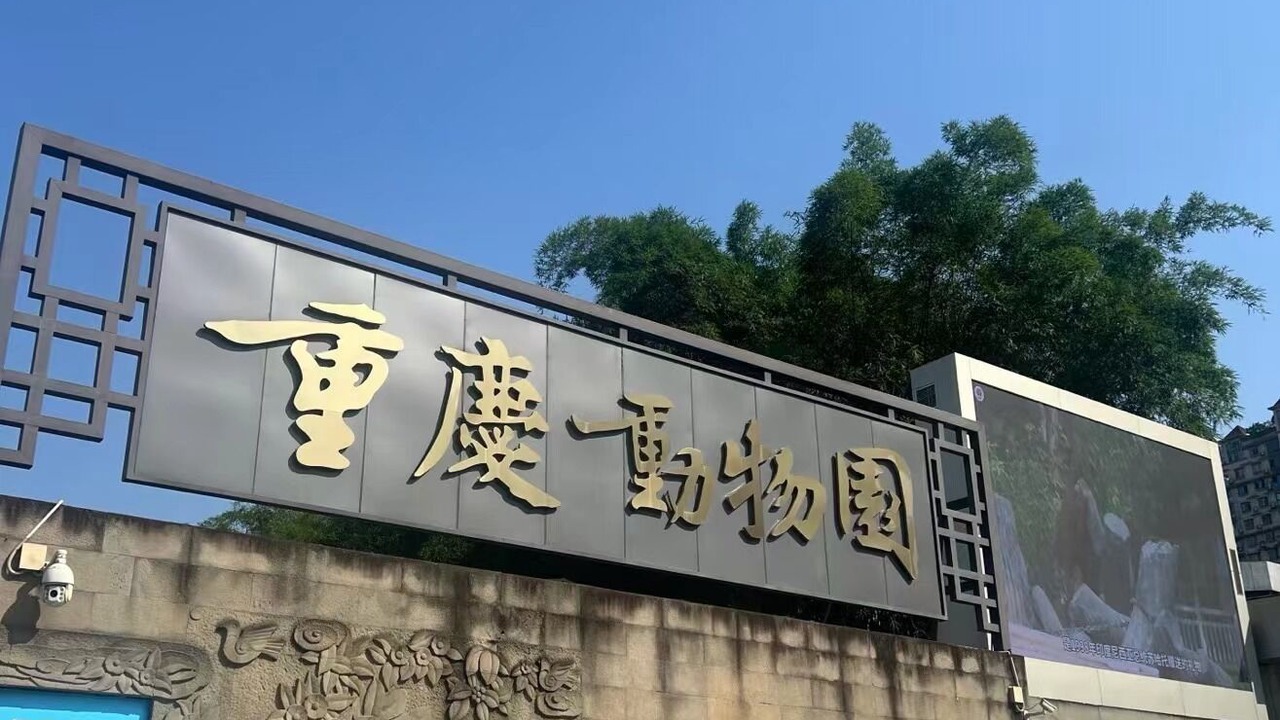 Photo of Others in Jeifangbei Central Business District