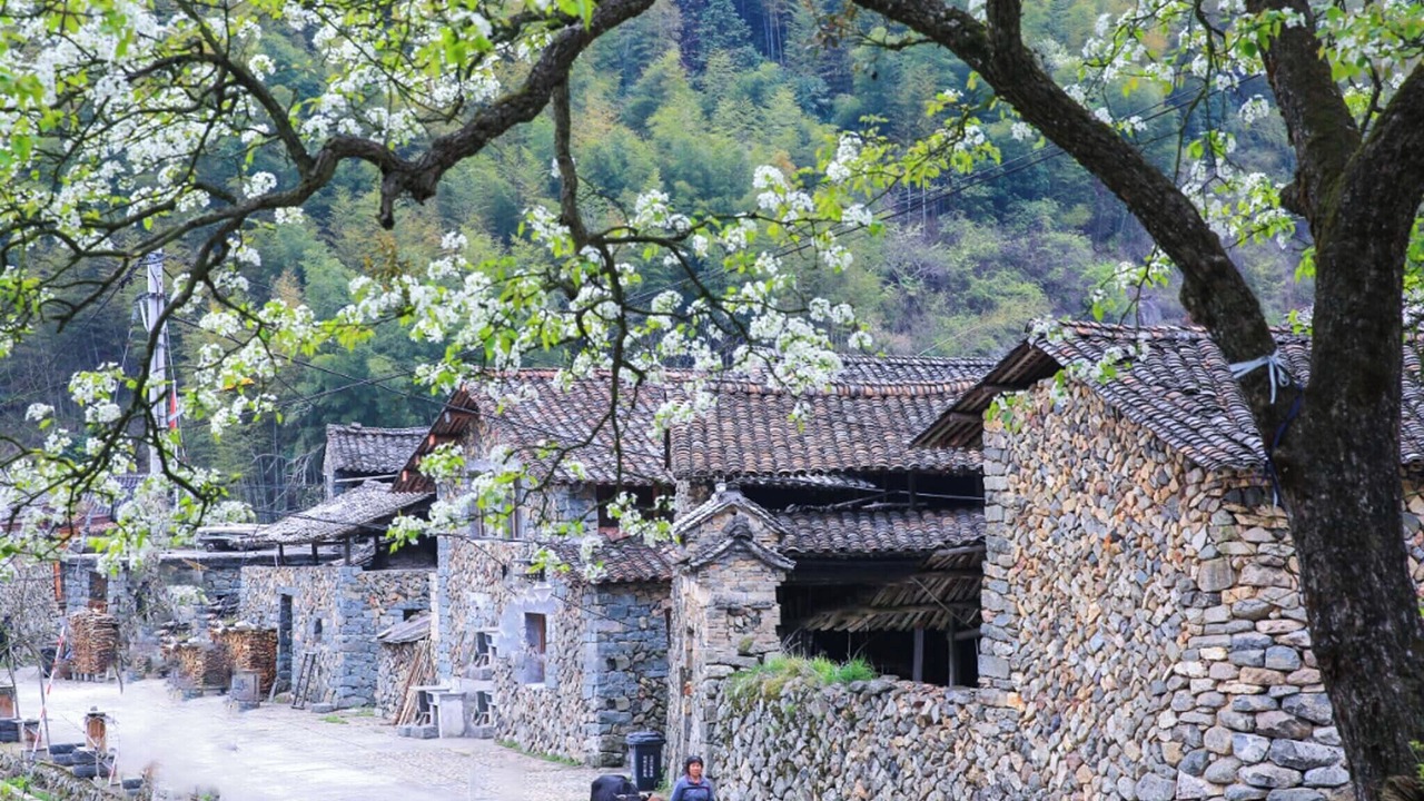 Photo of Outdoor in Chuanliao