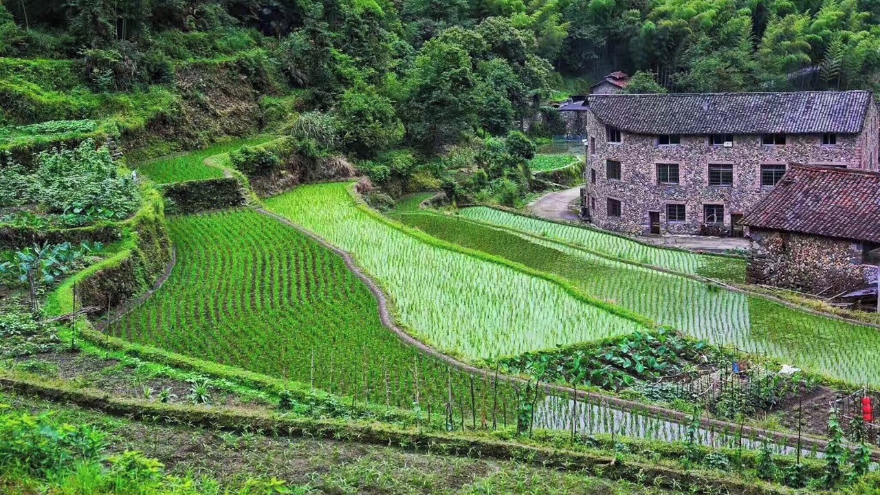 Photo of Outdoor in Chuanliao