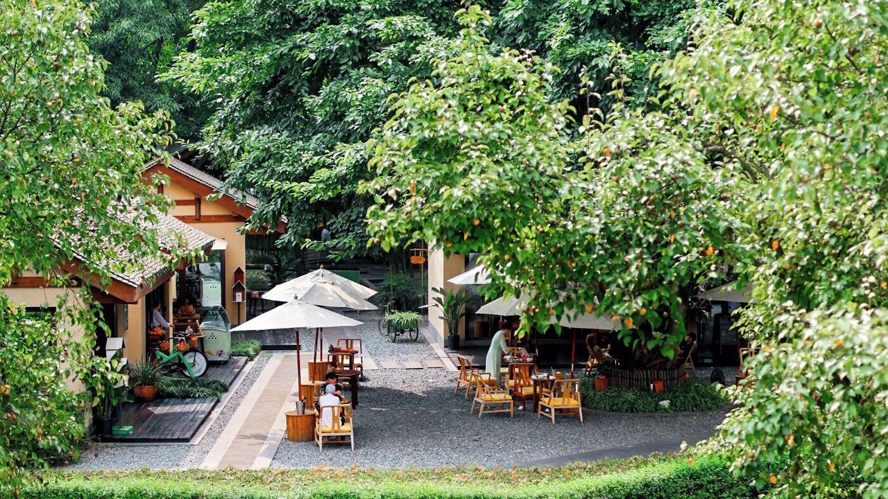 Photo of Others in Dujiangyan