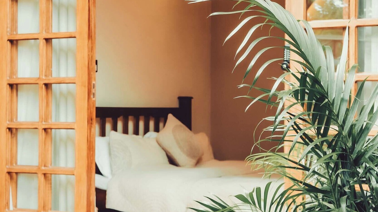 Photo of Bedroom in Caicun