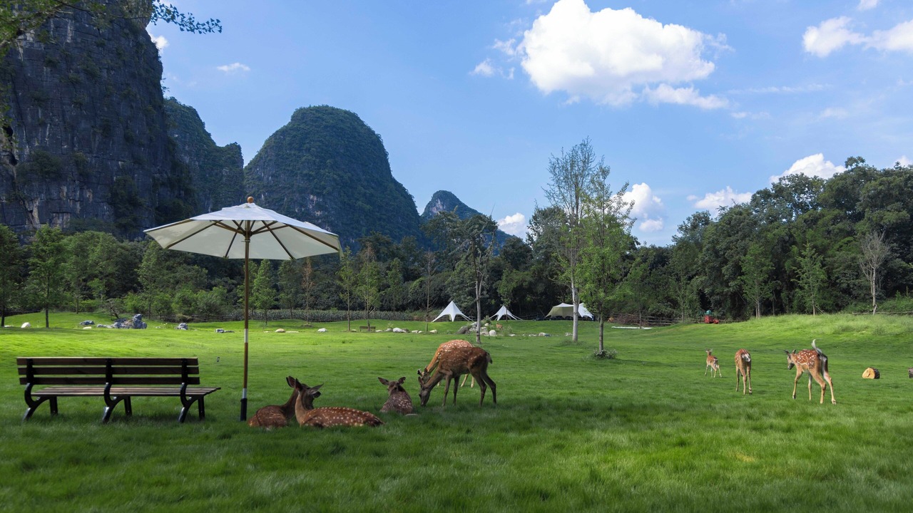 Photo of Outdoor in Ten Mile Gallery