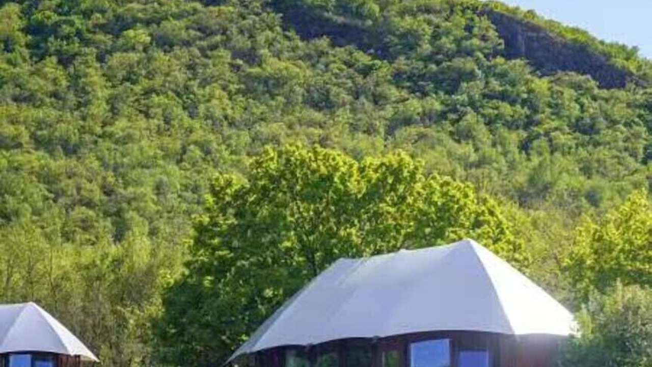 Photo of Outdoor in Horqin Right Front Banner