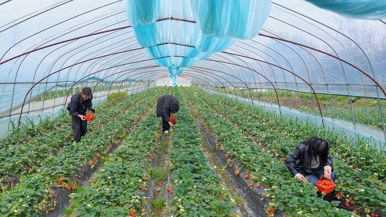 Photo of Others in Kunshan
