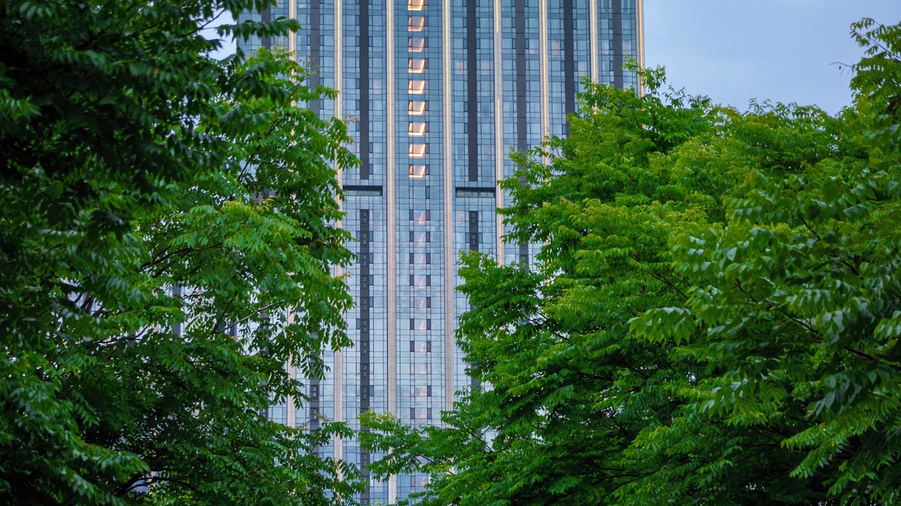 Photo of Outdoor in Chenggong
