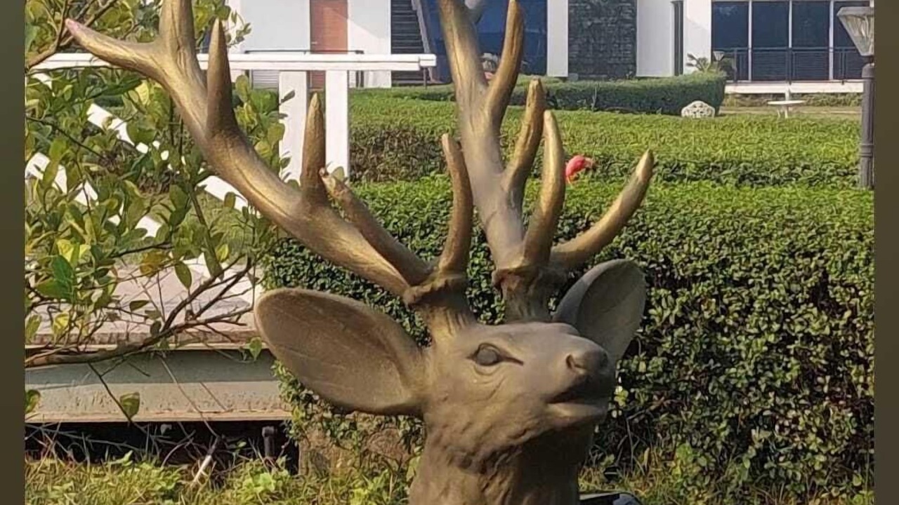 Photo of Outdoor in Dhaka